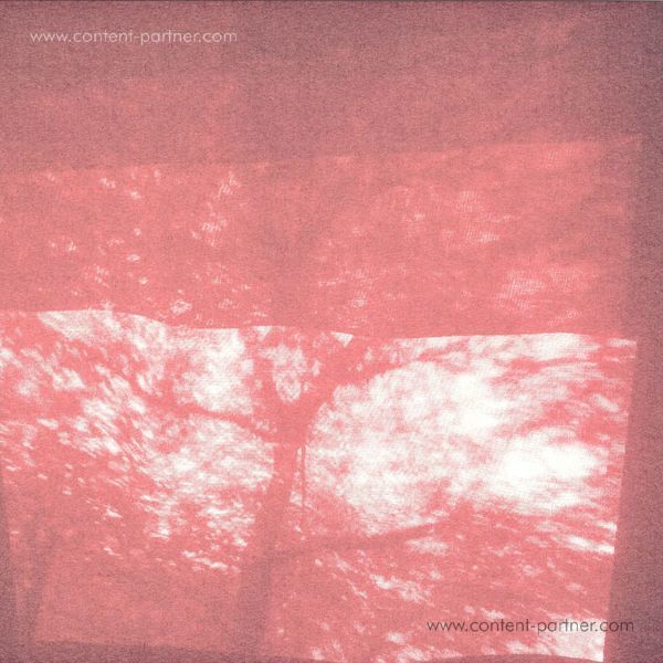 SHXCXCHCXSH - Rosten 2