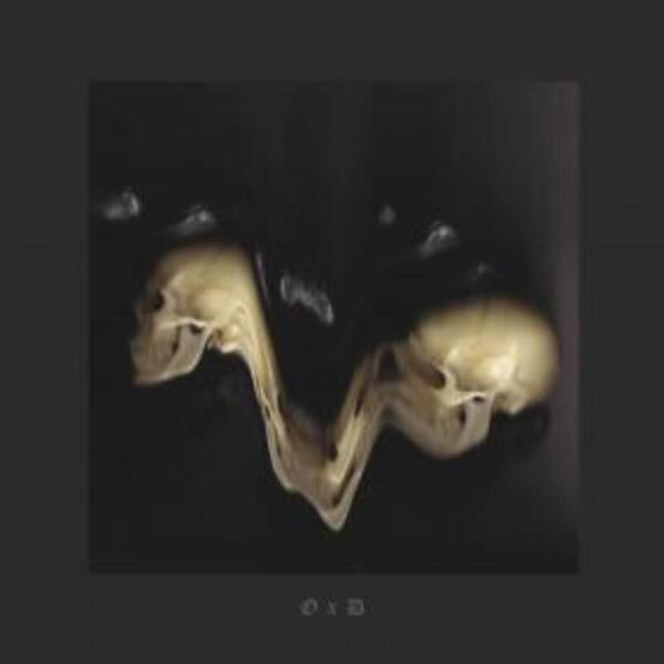 SILENT SERVANT - OPTIMISTIC DECAY EP