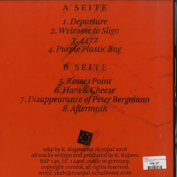 SMTHN - THE DISAPPEARANCE OF PETER BERGMANN (Back)