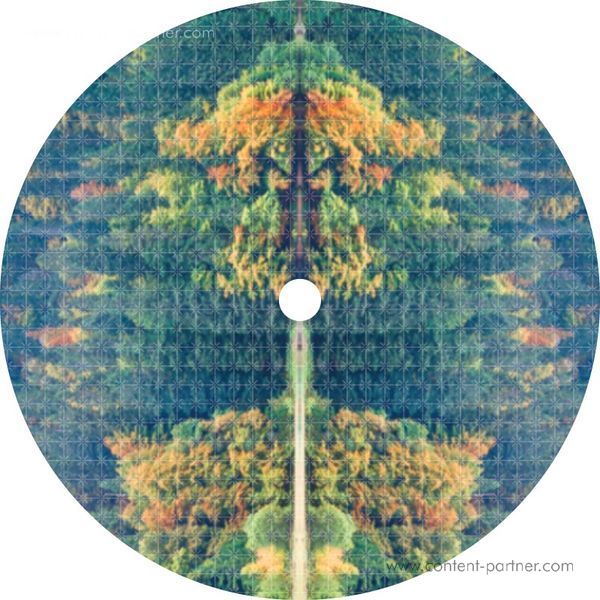 Sakito & Cruel Sushi, Healthy in Ibiza - Inner Paths EP