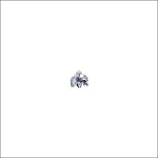 Sebastopol - Assassin (Alessandro Adriani / Privacy Remixes)