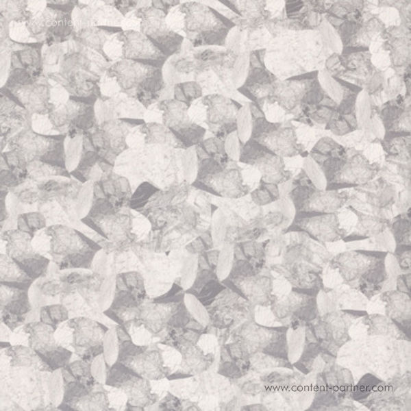 Shahrokh Dini - Compost Black Label 116
