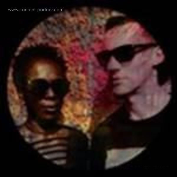 Shinedoe & 2000 And One - Acidploitation