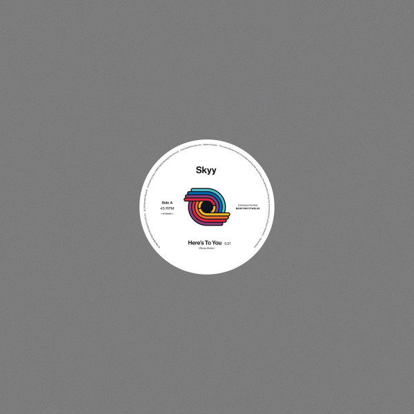 Skyy - Here's To You / You Got Me Up (12