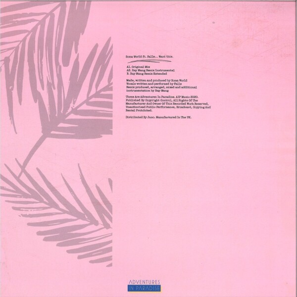 Soma World feat Falle - Want This (feat Ray Mang remix) (140 gram vinyl 12 (Back)