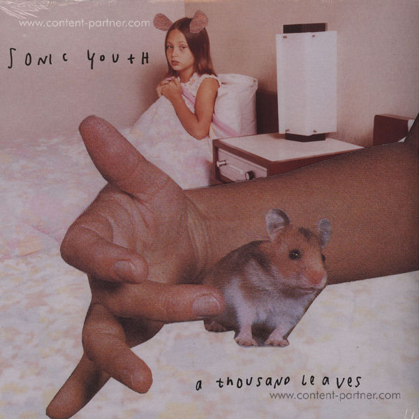 Sonic Youth - A Thousand Leaves (2LP)