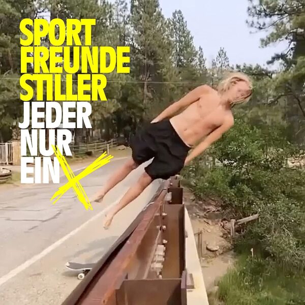 Sportfreunde Stiller - Jeder Nur Ein X (2LP)