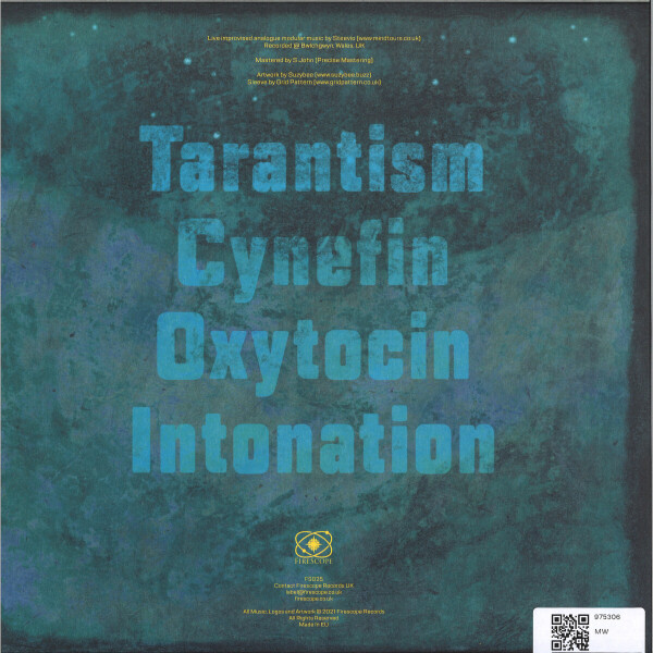 Steevio - Acatalepsy (Back)