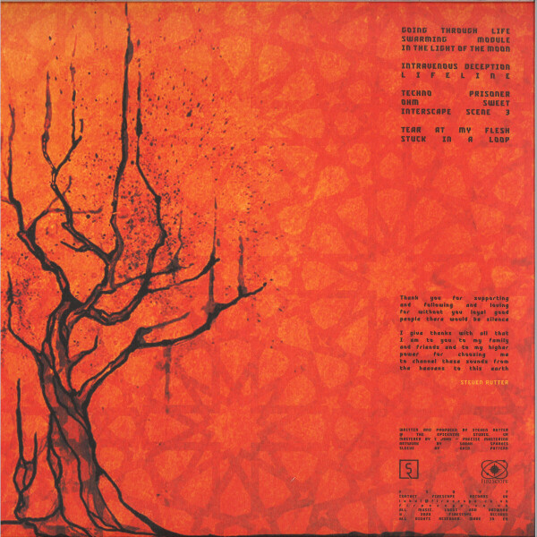 Steven Rutter - Riddle Me Sane (Back)