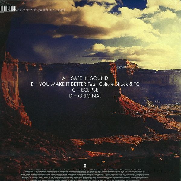 Sub Focus - Torus (Back)