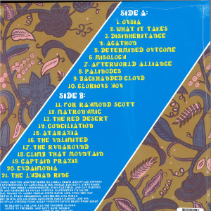 Sufjan Stevens & Lowell Brams - Aporia (Black Vinyl LP) (Back)