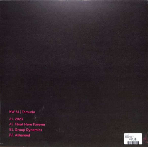 TEMUDO - KLOCKWORKS 31 (Back)