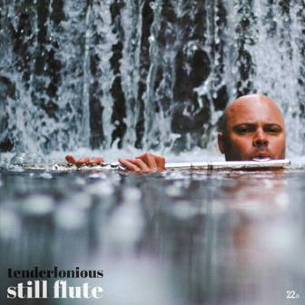 TENDERLONIOUS - Still Flute