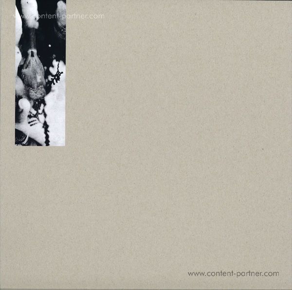 Tensal / P.e.a.r.l. - Power Of Lust