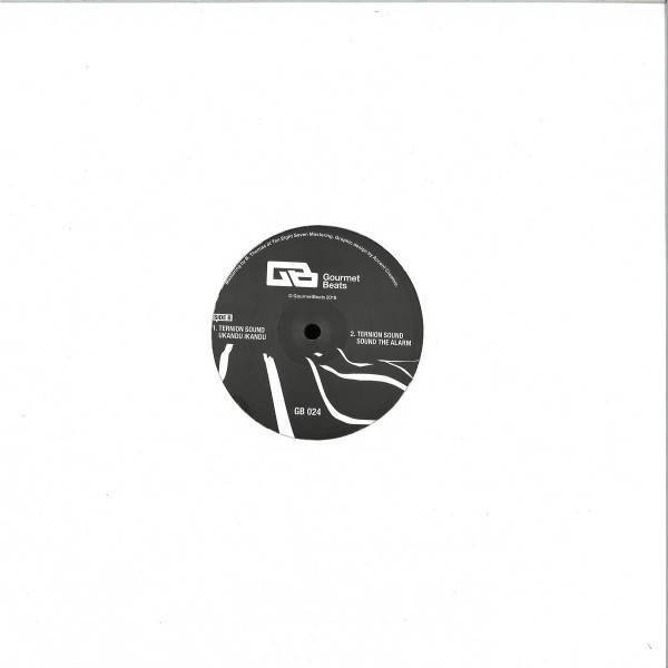 Ternion Sound - Sound The Alarm (Back)