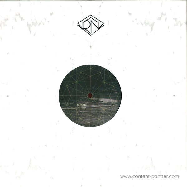 Terriers - Octagon EP (Back)