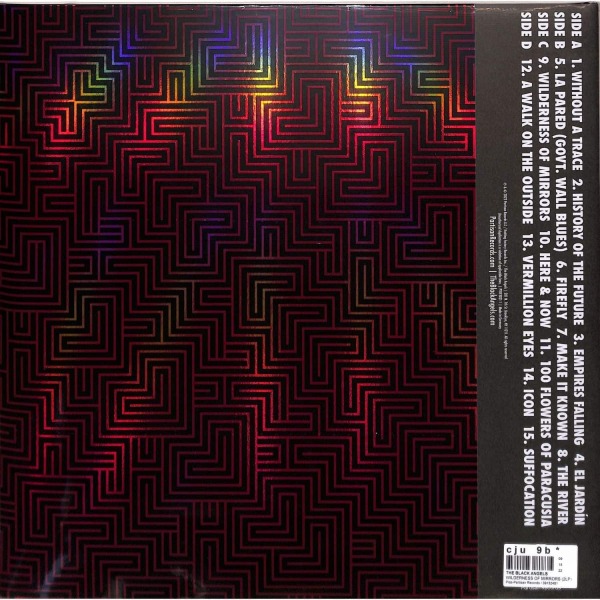 The Black Angels - Wilderness Of Mirrors (2LP) (Back)