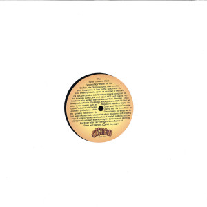 The Spins - The Valley Of Temples (Back)