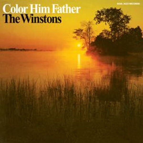 The Winstons - Color Him Father (Ltd Special Reissue)