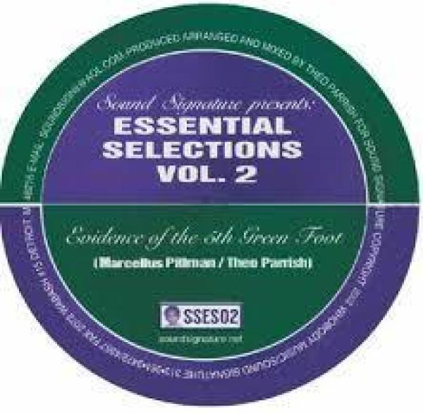 Theo PARRISH / MARCELLUS PITTMAN - Essential Selections Volume 2