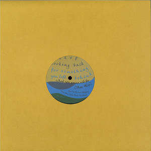 Theo Parrish / Lori / Silentjay / Simon Marvin / P - What You Wanna Ask For (Back)