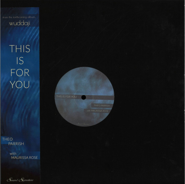 Theo Parrish - This Is For You