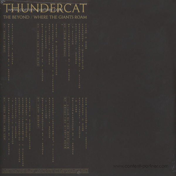 Thundercat - The Beyond/Where The Giants R (Mini Alb. (Back)