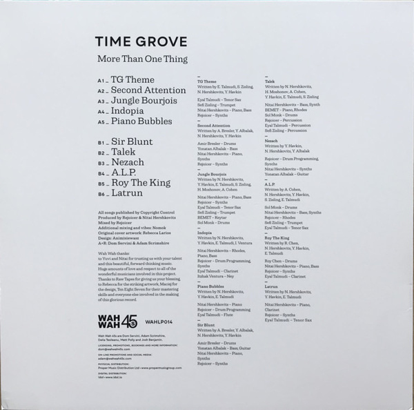 Time Grove - More Than One Thing (LP) (Back)