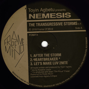 Toyin Agbetu presents Nemesis - The Transgressive Storms EP