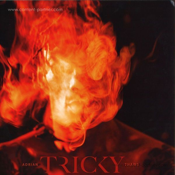 Tricky - Adrian Thaws