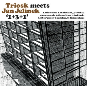Triosk Meets Jan Jelinek - 1+3+1 (LP Reissue)