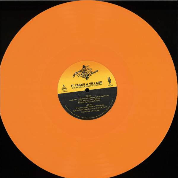 V/A - It Takes A Village: The Sounds Of Physical Therapy