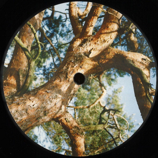 VARIOUS - UNTITLED