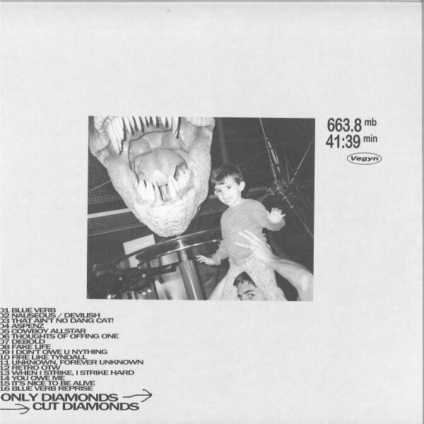 VEGYN - ONLY DIAMONDS CUT DIAMONDS (Standard Edition) (Back)