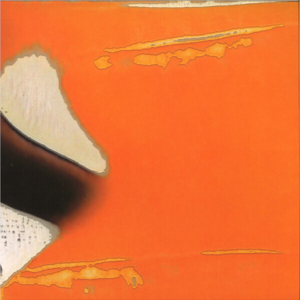 VIVIAN KOCH - BEYOND CONTACT