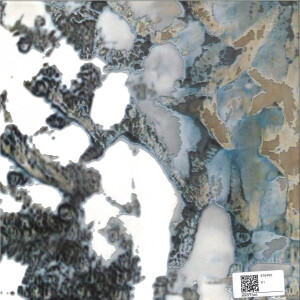VIVIAN KOCH - BEYOND CONTACT (Back)