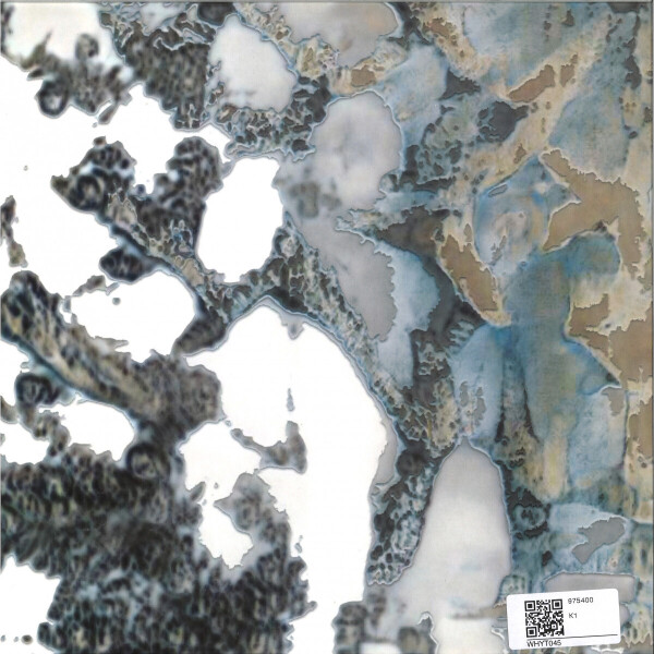 VIVIAN KOCH - BEYOND CONTACT (Back)