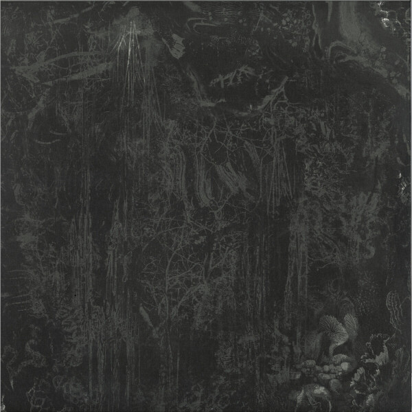 Vadin - Black Tortoise