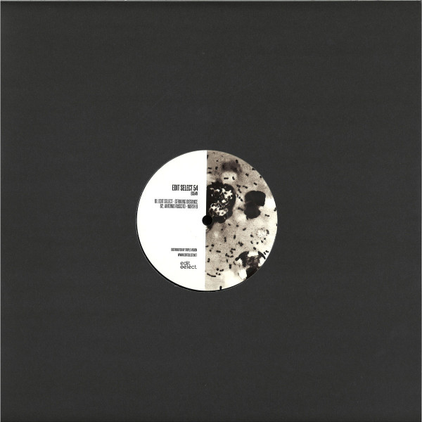 Various ARtists - Equilibrium EP (Back)