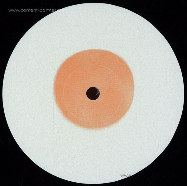 Various Artists - 2015 Rebirth Sampler 2