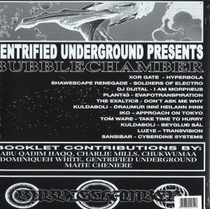 Various Artists - Bubble Chamber LP (2LP + Booklet) (Back)