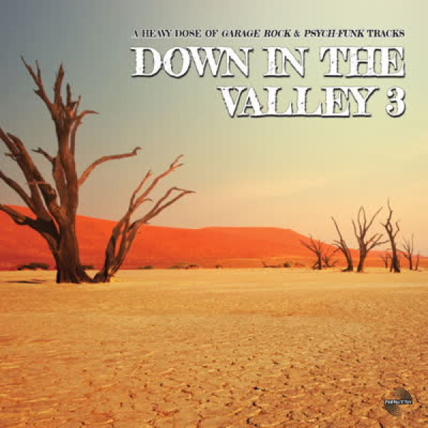Various Artists - Down In The Valley Vol. 3