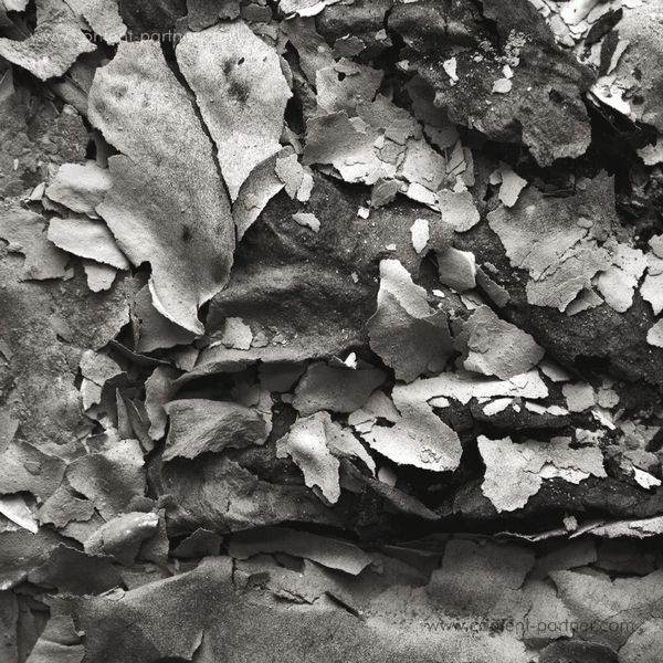Various Artists - Fragments Of Dub Part 1