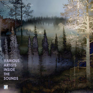 Various Artists - Inside the Sounds (Ltd 180g Clear Vinyl)