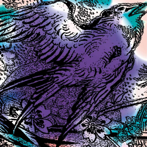 Various Artists - One Swallow Doesn't Make A Summer - Part 3