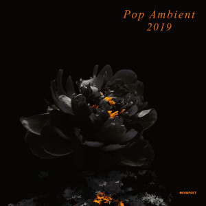 Various Artists - Pop Ambient 2019 (2LP + Download Code)