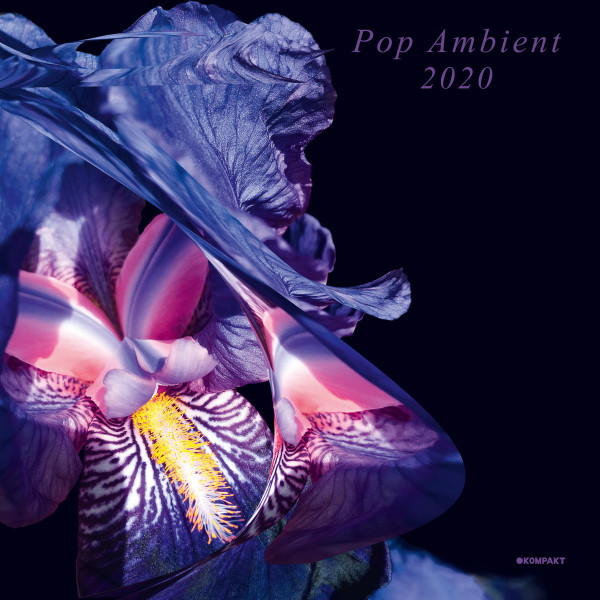Various Artists - Pop Ambient 2020