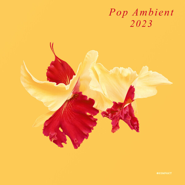 Various Artists - Pop Ambient 2023