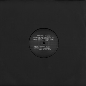 Various Artists - SQUIRRELS ON ACID (Back)