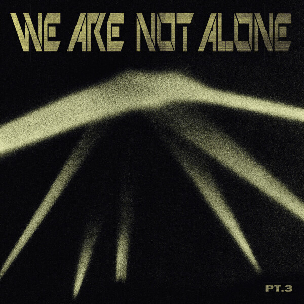 Various Artists - We Are Not Alone - Part 3 (2LP)